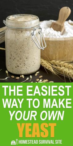 the easy way to make your own yeast