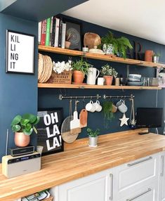 a kitchen with blue walls and shelves filled with potted plants on top of wooden counter tops