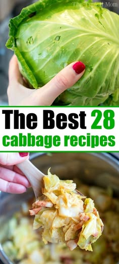 the best 28 cabbage recipes ever