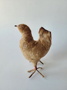 a small brown chicken standing on its hind legs