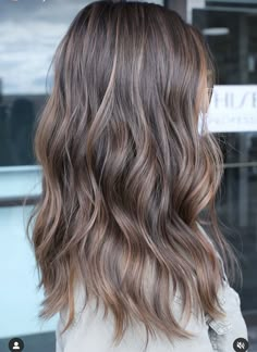 Brunette Blonde Babylights, No Maintenance Hair Color, Fall Brunette Hair Color Cool Tones, Baby Lowlights, Brunette Hair With Natural Highlights, Brunette Hair Dimension Highlights, Ashy Light Brown Hair Balayage Brunettes, Partial Highlights Long Hair, Mushroom Brown Hair Blue Eyes