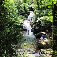 two people are sitting on rocks near a stream in the woods, while another person is standing next to them