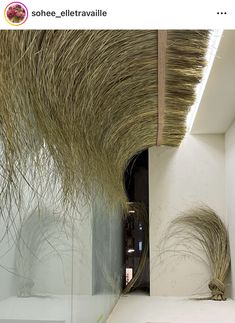 an artistic display with grass growing on the walls