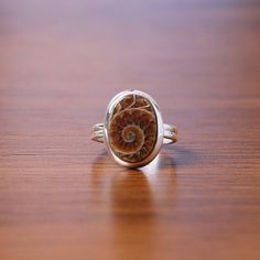 Ammonite Ring, 925 Sterling Silver Ring, Oval Gemstone Ring, Handmade Jewelry, Fossil Ring, Vintage Ring, Boho Ring, Birthday Gift for Her Gemstone Name - Ammonite  Stone Quality - AAA Ring Weight - 4.03 gm Ring Length - 1.5 cm Ringh Width - 1.2 cm Stone Shape - As shown in the picture * You Will Get The Same Product As Shown In The Picture. We serve complete 925 sterling silver Jewelry and genuine properties of the stone. The products are dispatched from the small business from USA. Product Qua Ammonite Ring, Fossil Ring, Fossil Jewelry, Funky Jewelry, Ring Oval, Silver Jewelry Handmade, Boho Ring, Birthday Gift For Her, Vintage Ring