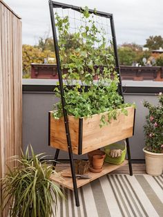 a wooden planter filled with green plants on top of a roof garden area next to potted plants