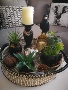 an arrangement of plants and candles on a tray in the middle of a living room