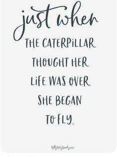 a quote that says, just when the caterplar thought her life was over she begun to fly