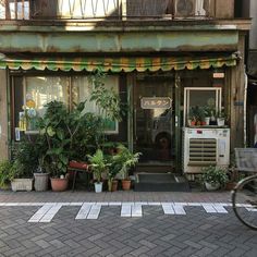 a store front with potted plants on the outside and a bicycle parked next to it