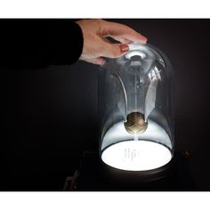 Use this stylish decoration for your Harry Potter themed bedroom, game night, or party. Power up the light with the included USB cord (adapter not included). Plug it into any USB port whether that’s your laptop, gaming console, power bank, or your own USB adapter. Then tap the top of the light to turn it on! Secure hard-plastic casing! USB powered - 151 cm (59.5 in) USB cord included. Adapter not included. Officially licensed. Produced by Paladone. Harry Potter Themed Bedroom, Harry Potter Golden Snitch, Bedroom Game, Golden Snitch, Harry Potter Costume, Themed Bedroom, Harry Potter Crafts, Puzzle Shop, The Bell Jar