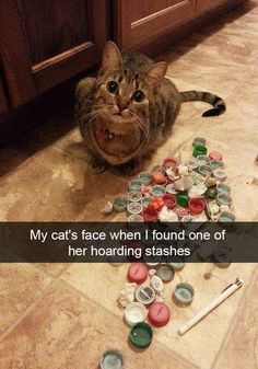 a cat sitting on the floor next to some buttons