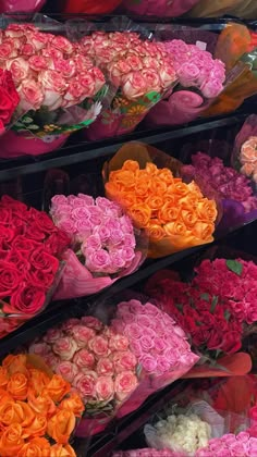 many different colored roses are on display for sale