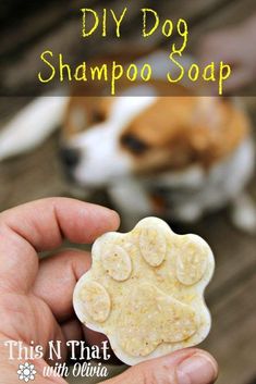 a hand holding a dog's paw shaped soap with the words diy dog shampoo