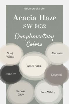 This pin showcases complementary colors for Acacia Haze SW 9132 by Sherwin Williams, a calming green-gray. It pairs beautifully with soft neutrals like Shoji White and Greek Villa to create a warm, inviting space. Deeper tones like Iron Ore and Dovetail add contrast, while Pure White, Alabaster, and Repose Gray bring brightness and cohesion to the overall look. Acacia Haze Sherwin Williams, Acacia Haze, Sherwin Williams Alabaster White, Greek Villa Sherwin Williams, Greek Villa, Repose Gray Sherwin Williams, Blue Green Paints, Greek Villas