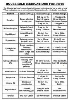 a table that has different types of medications for pets and the words, household medicine for pets