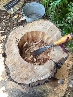 a tree stump with a knife stuck in it next to a potted planter