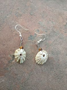 two seashells are hanging from silver earwires on the ground, one has a brown bead