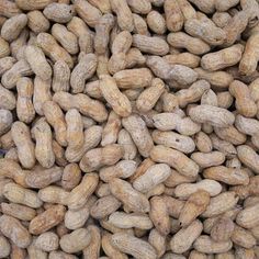 peanuts are the most nutritious food in the world