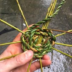 a person holding up some green plants in their hand with water running behind the plant