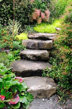 a stone path in the middle of a garden