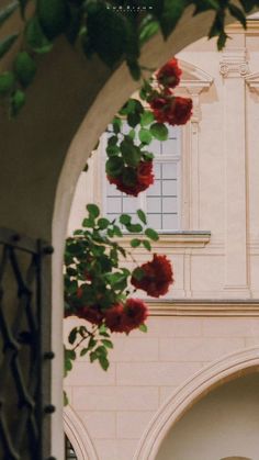 red flowers are growing on the side of a building with arched doorways and windows