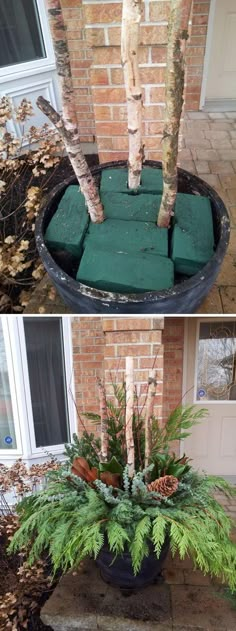 two pictures showing the same planter in front of a house and another photo of a tree