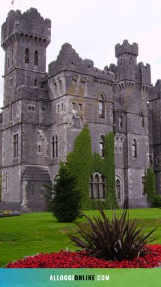 an old castle with red flowers in the foreground and green grass on the other side