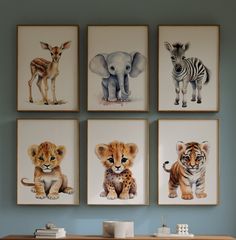 four framed pictures of different animals are on the wall above a desk in a room with blue walls