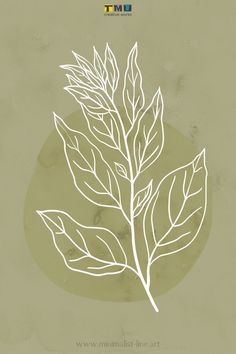 a drawing of a leaf on a green background