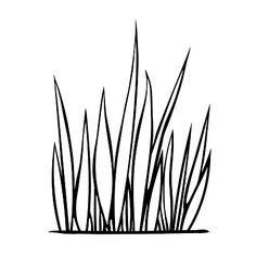 some grass that is growing out of the ground in black and white on a white background