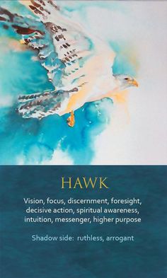 Hawk Spirit Animal, Art Messages, Animal Totem Spirit Guides, Animal Awareness, Spirit Animal Meaning, Animal Meanings, Animal Tarot, Spirit Animal Totem