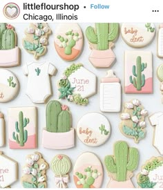 cookies decorated with cactus and succulents are displayed in front of a white background