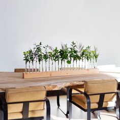 a wooden table topped with plants on top of it next to two chairs and a bench