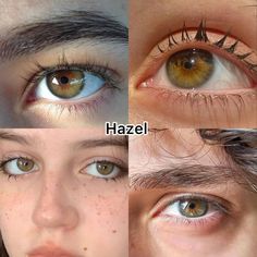 Hazel Gold Eyes, Unique Eye Color, Eye Types, Different Eye Colors, Rare Eye Colors, Hazel Green Eyes