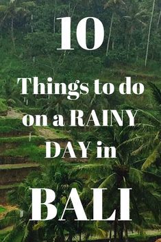 the words 10 things to do on a rainy day in bali, with palm trees