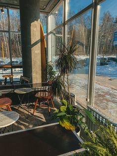 the inside of a restaurant with tables, chairs and surfboards on display in front of large windows