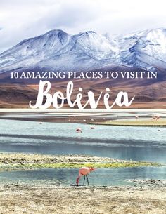 flamingos standing in the water with mountains in the background and text overlay reading 10 amazing places to visit in bolivia