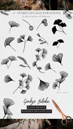 an image of flowers and leaves in black and white with the title, 17 delicate illustrations