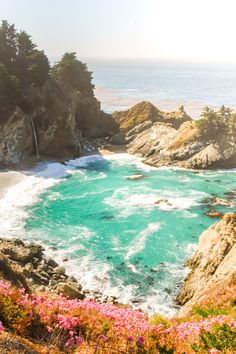 the ocean is blue and green with pink flowers in bloom next to rocks on the shore