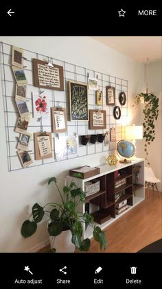 a wall with many pictures on it and plants in front of the shelves below them