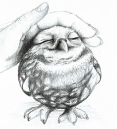 a drawing of a bird being petted by someone's hand on top of it