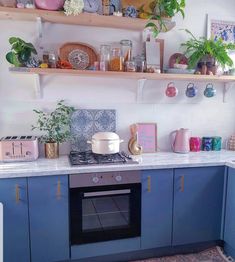 a kitchen with blue cabinets and shelves filled with potted plants