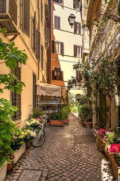 an alley way with many plants and flowers on the sides, along with a bicycle parked next to it