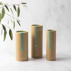 three brown boxes with green ribbons on them sitting next to a plant in a vase