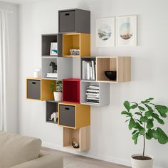 a living room with a couch and some bookshelves on the wall next to a potted plant