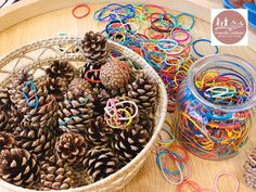 pine cones and rubber bands are in a basket