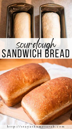 homemade sourdough sandwich bread in loaf pans with text overlay that reads sourdough sandwich bread