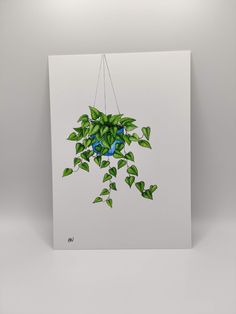 a green plant hanging from a white wall