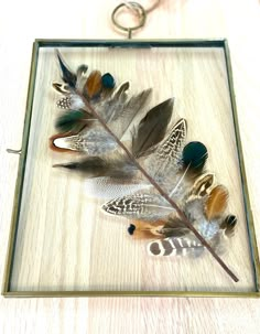 a glass frame with some feathers in it