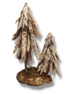 two brown and white feathers sitting on top of a piece of wood