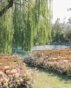 an outdoor ceremony setup with wooden chairs and flowers in the foreground, under a willow tree